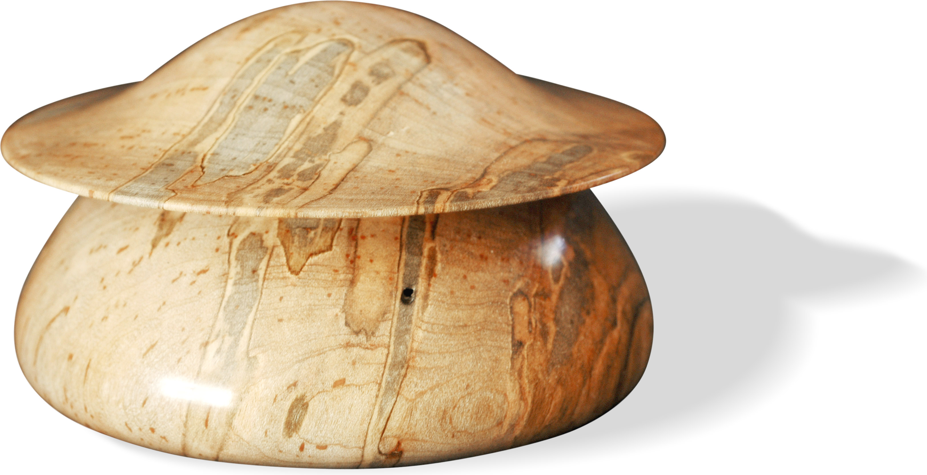Jason Breach Ambrosia Maple Box 2010 4dx4h inch